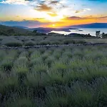 Villa Humac Hvar